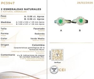 Reporte Gemologico Básico