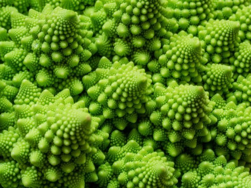 Esmeralda, Santo grial